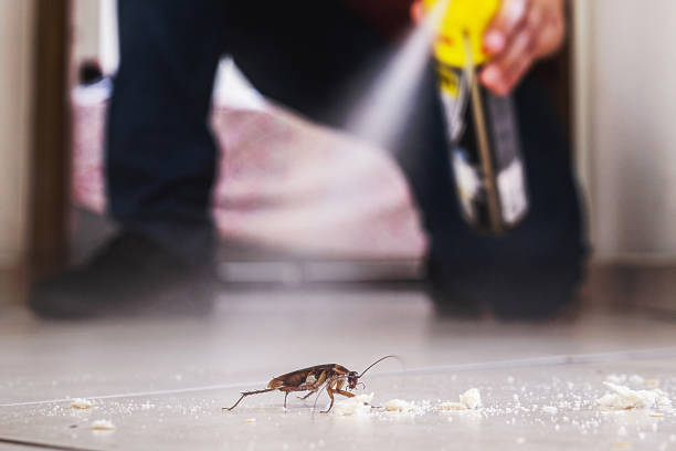 Best Cockroach Control Services  in Pleasure Point, CA