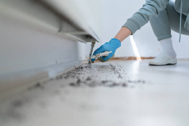 Best Pest Control for Businesses  in Pleasure Point, CA