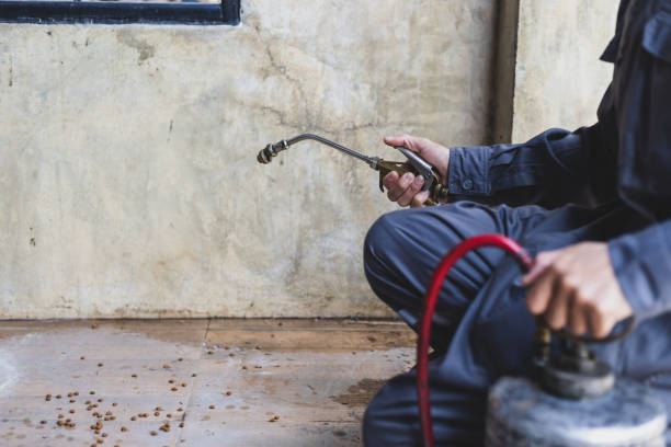 Best Wasp Removal Services  in Pleasure Point, CA